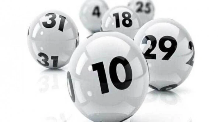 Bj88 Đá Gà: Cập Nhật Xu Hướng Đá Gà Trực Tiếp Tại Việt Nam